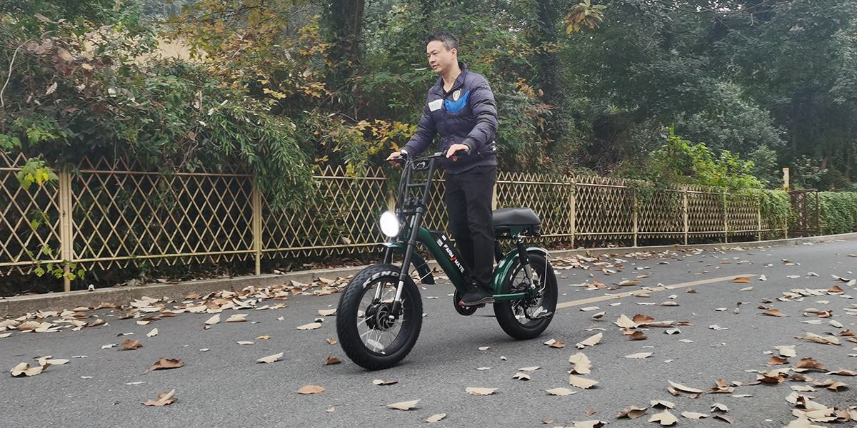 Dual Motors Fat Tire Electric Bike Buy dual motors fat tire electric bike, 20 inch beach